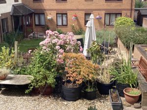 COMMUNAL GARDEN- click for photo gallery